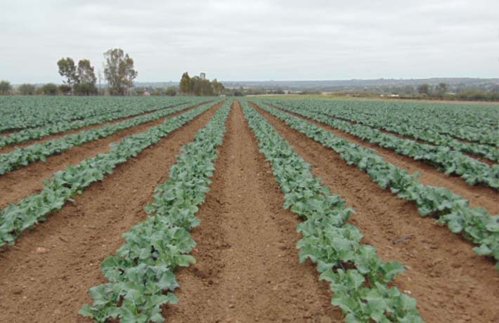 Valuación de Bienes Rurales