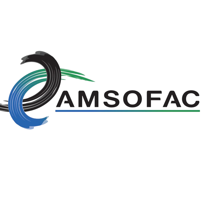 Asociación Mexicana de Sociedades Financieras de Arrendamiento, Crédito y Factoraje